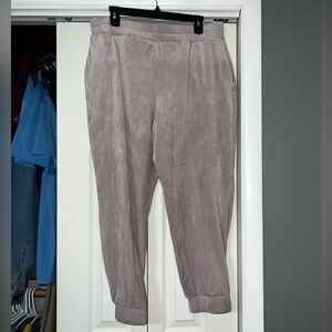 Express velour joggers